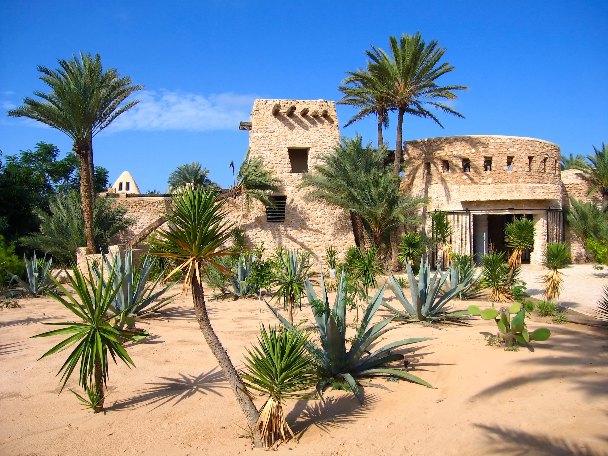 Crocodale farm auf Djerba